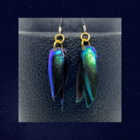 Earrings, Jewel Beetle Elytra